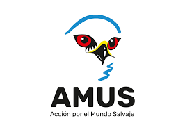 Asociación PAUTA